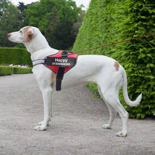 Custom Reflective No-Pull Dog Harness – Adjustable Vest - FurTrend