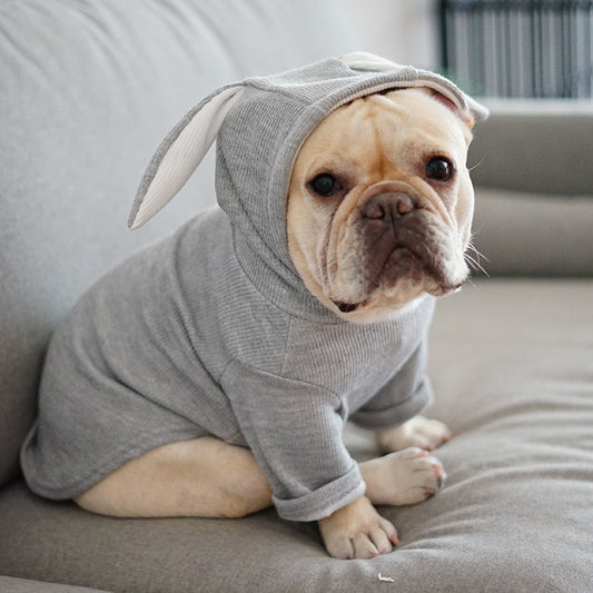 Pet Dog Hoodie – Spring & Fall Outfit