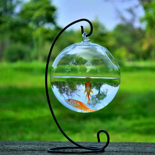 Mini Glass Fish Tank – Elegant Borosilicate Aquarium - FurTrend