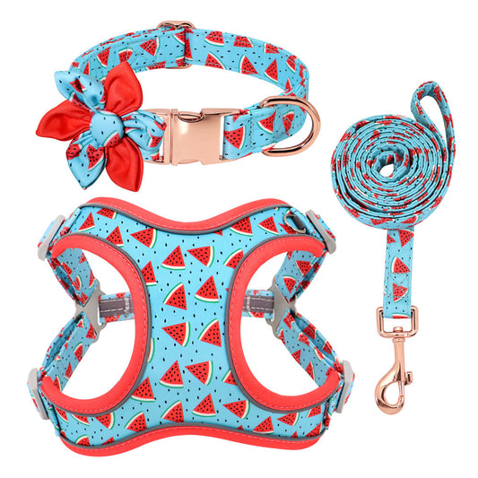 Personalized Dog Collar with Leash and Harness - FurTrend