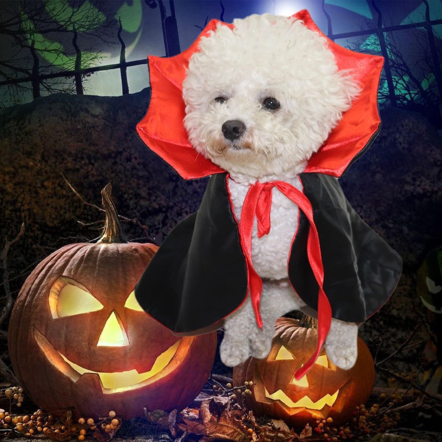 Pet Cloak Costume – Black &amp; Red Plush Cape for Cats & Dogs - FurTrend