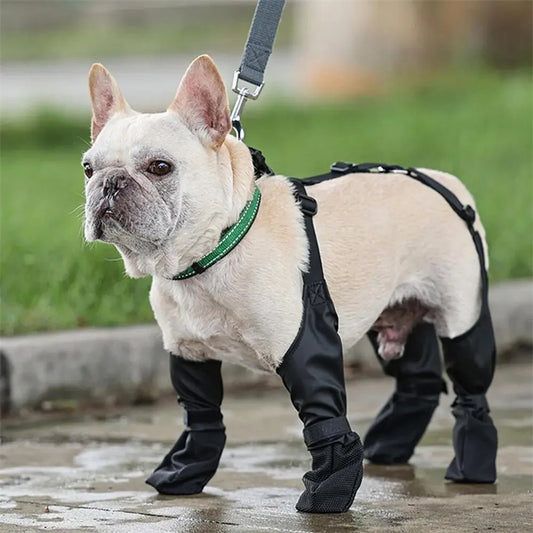 Adjustable Pet Boots for Dogs – Waterproof & Breathable - FurTrend