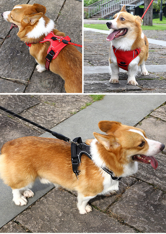 No Pull Reflective Harness for Dogs – Breathable Design - FurTrend