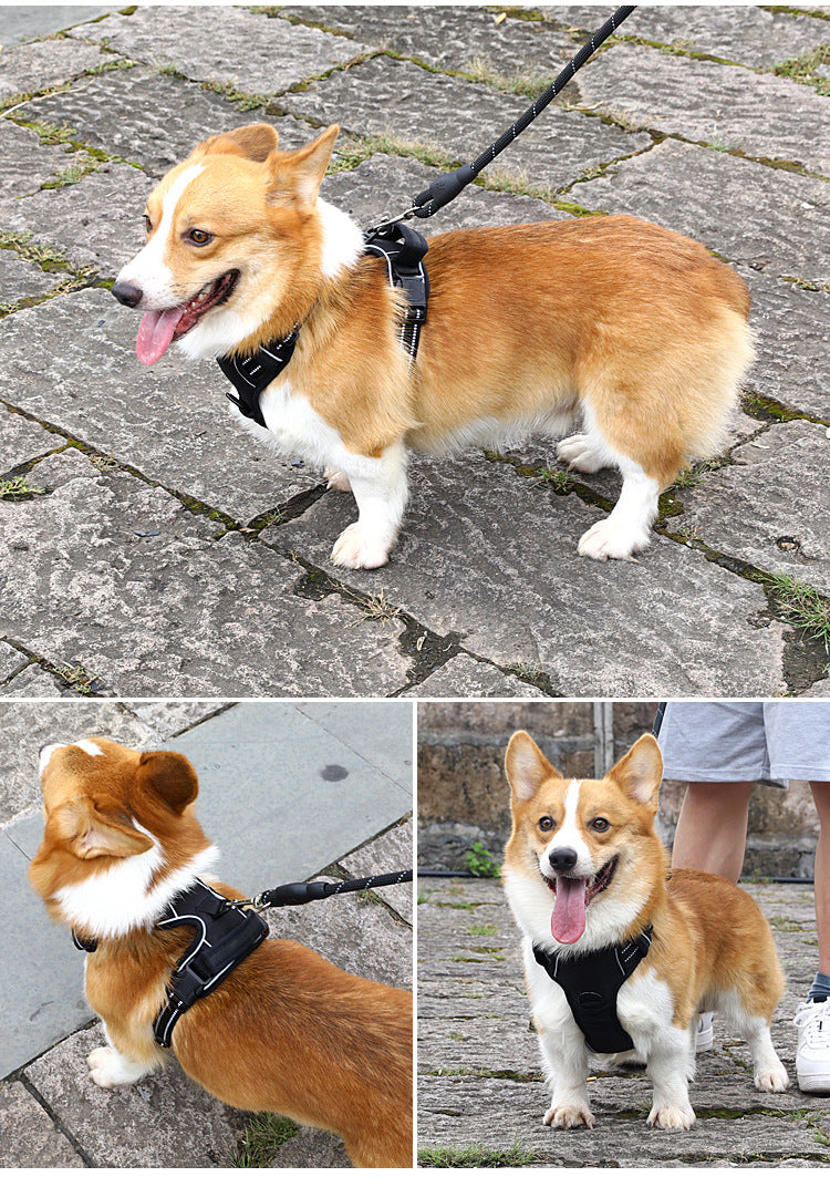No Pull Reflective Harness for Dogs – Breathable Design - FurTrend
