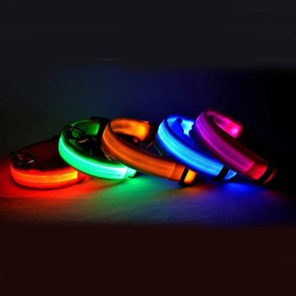 Glow LED Dog Leash – Night Safety Collar - FurTrend
