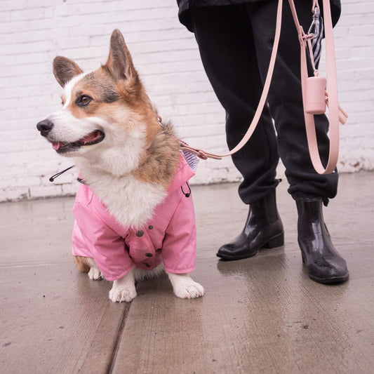 Stylish Windproof Dog Raincoat – British Retro Look