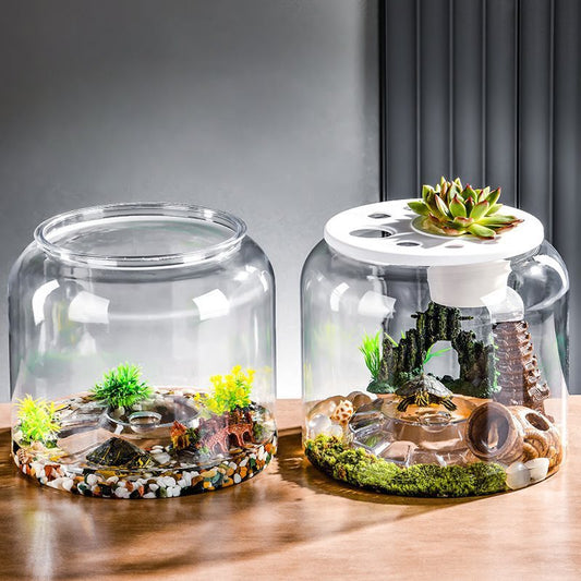 Transparent Eco-Friendly Desktop Turtle Tank - FurTrend