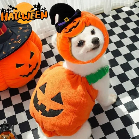 Funny Dog Cat Pumpkin Outfit – Holiday Pet Apparel - FurTrend