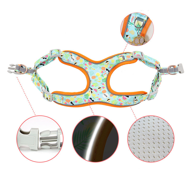 Personalized Dog Collar with Leash and Harness - FurTrend