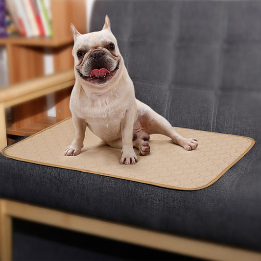 Absorbent Dog Urine Pads – Leak Proof Protection & Odor Control - FurTrend