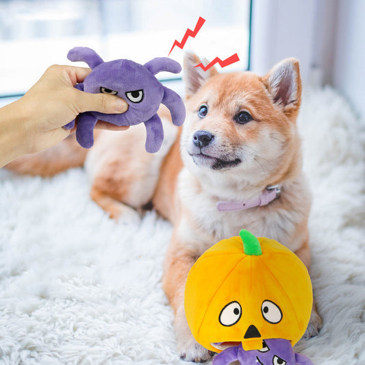 Halloween Voice Toy Set – Pumpkin, Bat, Ghost, Spider - FurTrend
