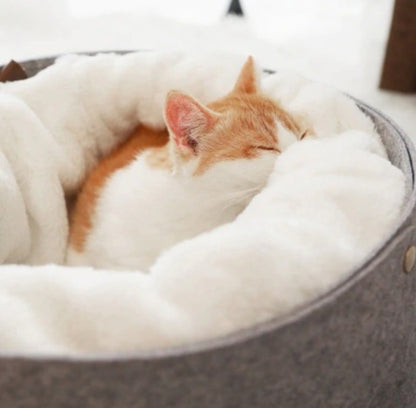 Soft Comfortable Cotton Cat Bed — Winter-Ready Pet House - FurTrend