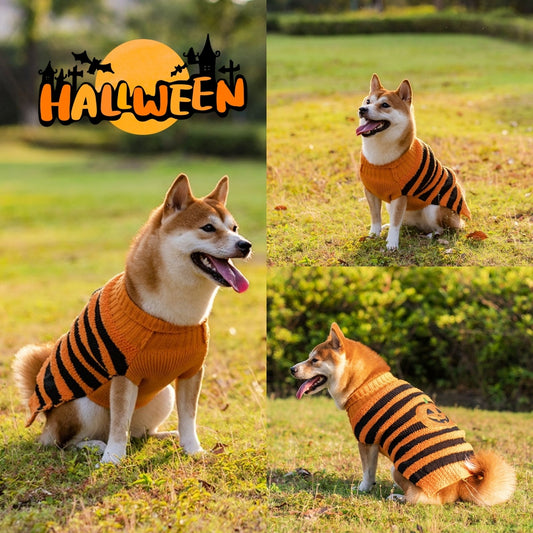 Spooky Sweaters for Halloween Pets