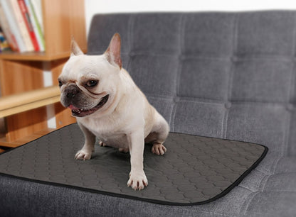 Absorbent Dog Urine Pads – Leak Proof Protection & Odor Control - FurTrend