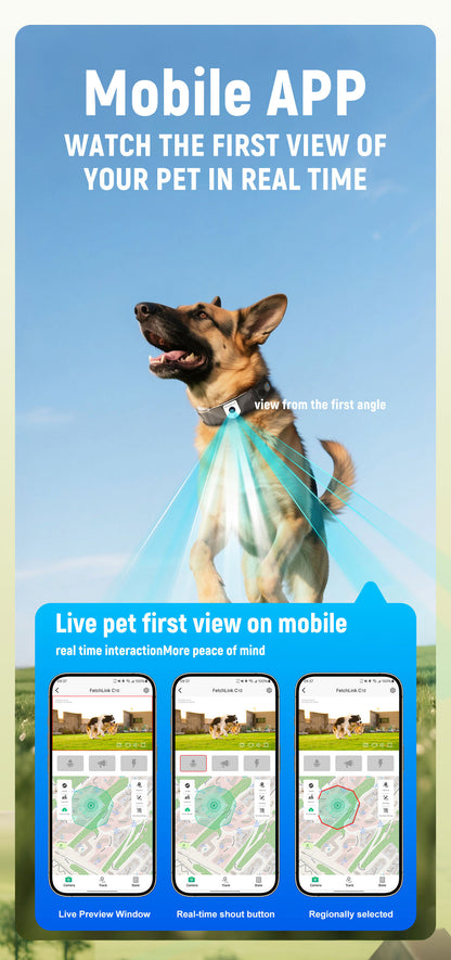 C10 Smart Pet Collar – Health & Activity Tracker - FurTrend