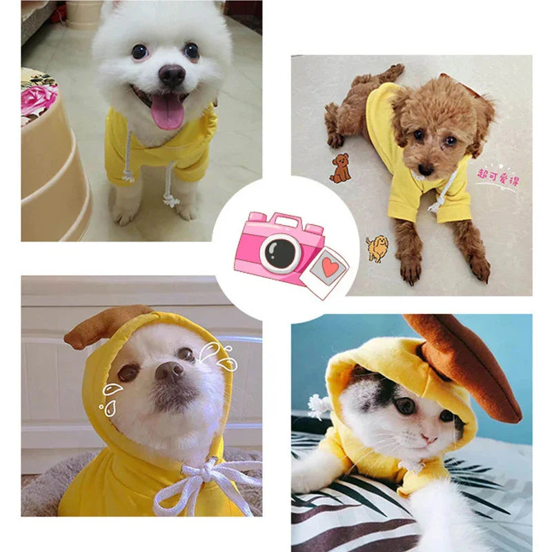 Cute Fruit Dog Hoodie – Winter Fleece for Small Pets - FurTrend