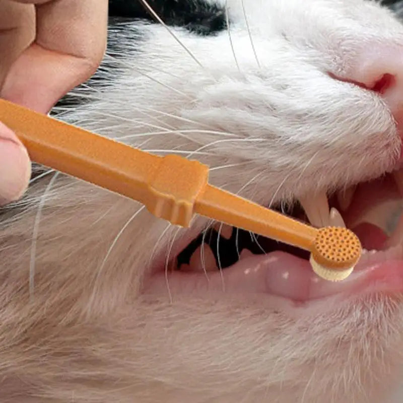 Pet Toothbrush Kit – Soft Silicone for Dogs & Cats - FurTrend
