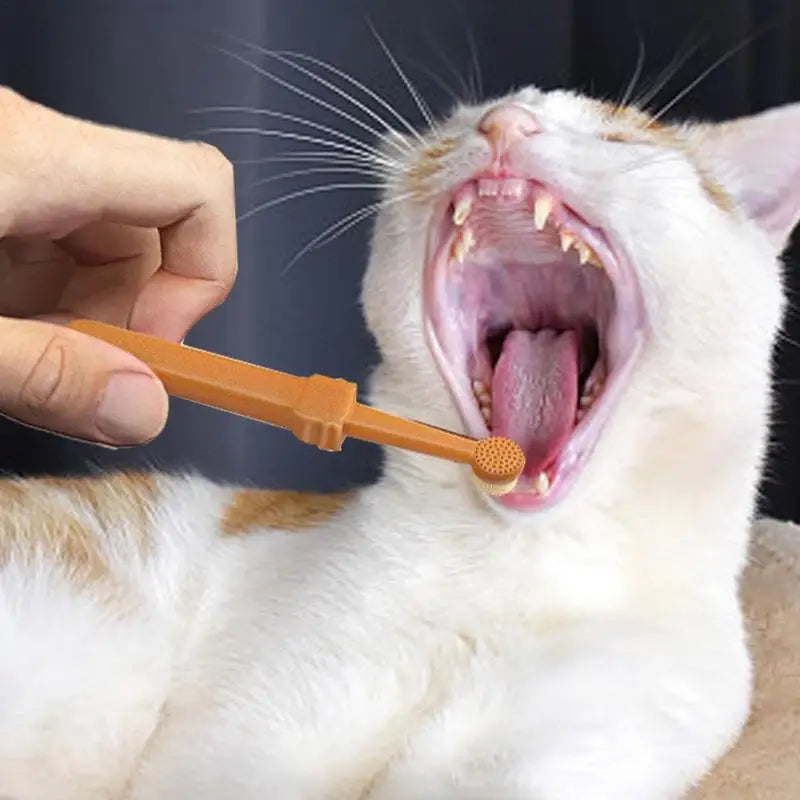 Pet Toothbrush Kit – Soft Silicone for Dogs & Cats - FurTrend