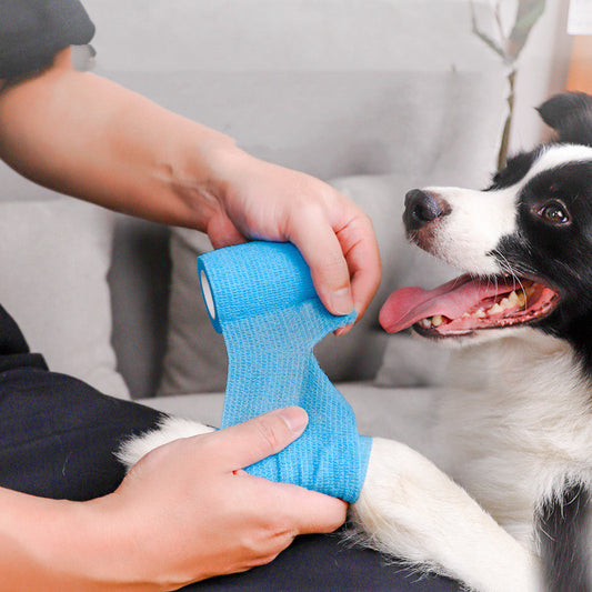 All-in-One Pet Wraps for Wound and Prevent Dirt Paw - FurTrend