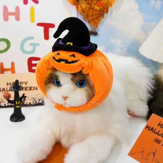 Funny Dog Cat Pumpkin Outfit – Holiday Pet Apparel - FurTrend
