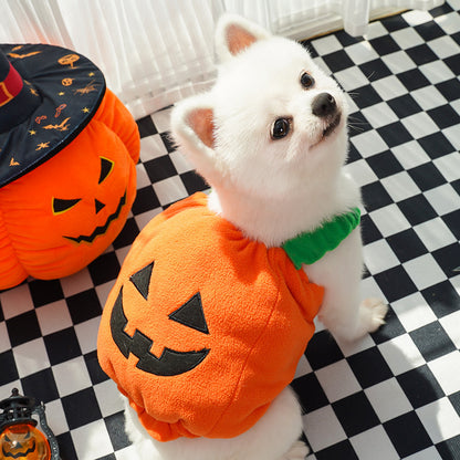 Funny Dog Cat Pumpkin Outfit – Holiday Pet Apparel - FurTrend