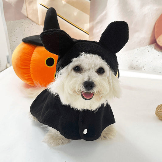 Cute Halloween Pet Cloak – Pumpkin, Ghost & Bat Costume for Dogs & Cats - FurTrend