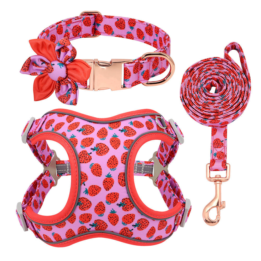 Personalized Dog Collar with Leash and Harness - FurTrend
