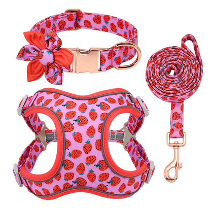 Personalized Dog Collar with Leash and Harness - FurTrend