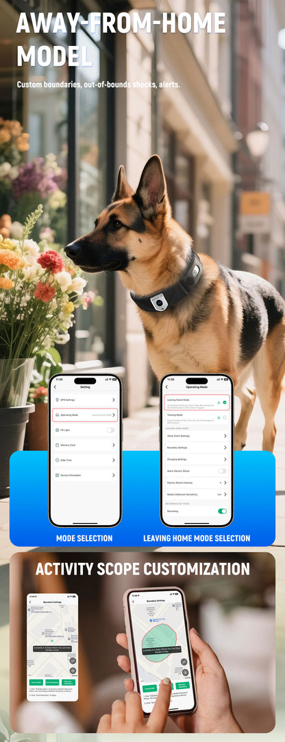 C10 Smart Pet Collar – Health & Activity Tracker - FurTrend