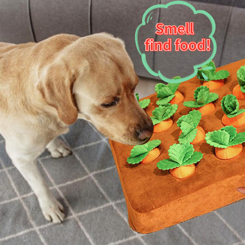 Pet Chew Toy – Carrot Plush for Dogs & Cats - FurTrend