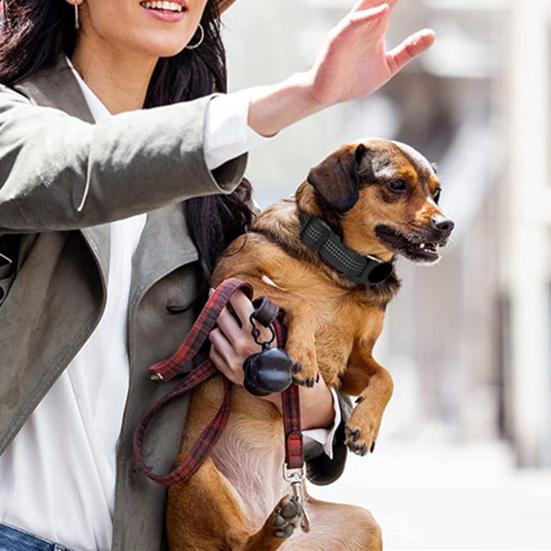 Adjustable AirTag Collar for Dogs and Cats - FurTrend