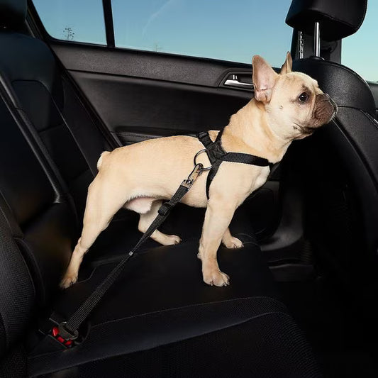 Car Safety Dog Leash – Fixed Polyester Strap - FurTrend