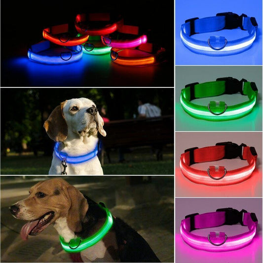 Glow LED Dog Leash – Night Safety Collar - FurTrend